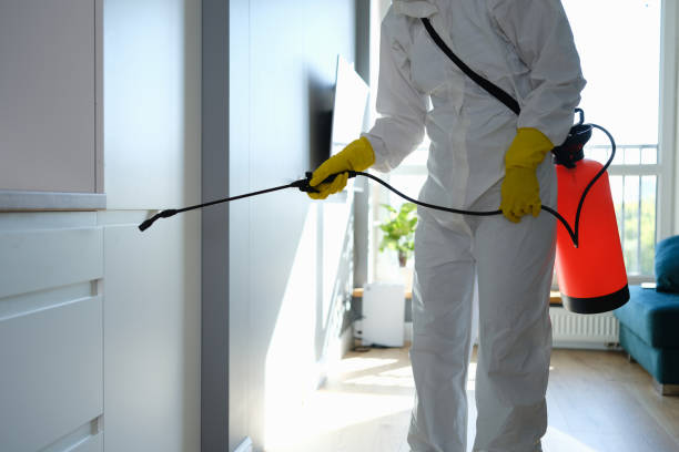 Professional Mold Removal in San Antonio, TX